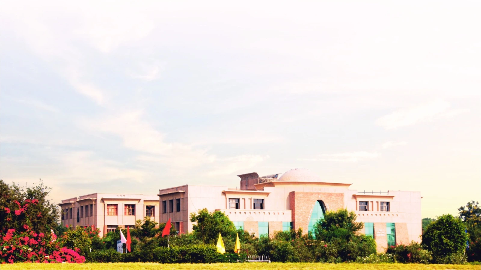 Singhania University