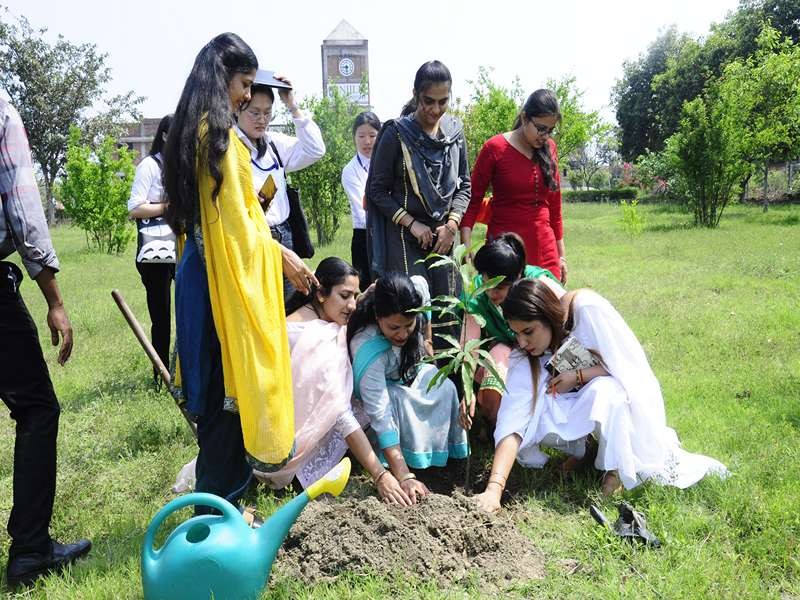 Plantation Drive